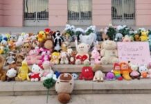 Entroncamento | Centenas de peluches em memória da menina de 4 anos que faleceu no acidente automóvel na sexta-feira