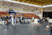 Eleições legislativas | Até às 16 horas já tinham votado no Entroncamento 8450 eleitores (50%)