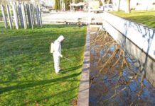 Vila Nova da Barquinha | Barquinha Parque reabre ao público