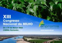 ANPROMIS organiza Congresso Nacional do Milho a 23 e 24 de março em Santarém