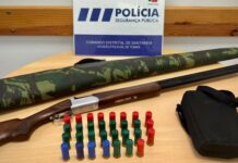 Tomar | PSP detém homem de 53 anos