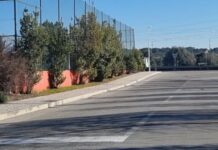 Entroncamento | Cinquenta e sete novos casos de Covid-19