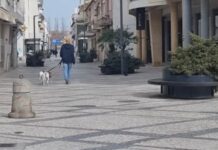 Entroncamento | Doze novos casos de Covid-19 esta segunda-feira