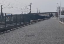 Entroncamento | Vinte e dois novos casos de Covid-19 esta sexta-feira