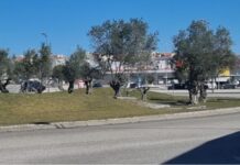 Covid-19 | Vinte e quatro mortos e 4209 novos casos em Portugal esta segunda-feira