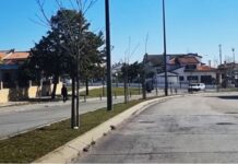 Entroncamento | Doze novos casos de Covid-19 este domingo