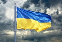 Santas Casas mobilizadas para acolhimento de cidadãos e famílias da Ucrânia