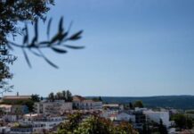 Abrantes | Sala de Snoezelen na Escola António Torrado