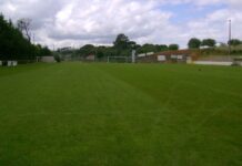 Torres Novas | Câmara aprova apoio à ARPE e campos relvados