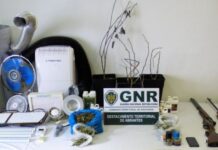 Abrantes | Homem de 34 anos detido por tráfico de produtos estupefacientes