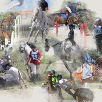 Jornadas Equestres da JuventudeCorte