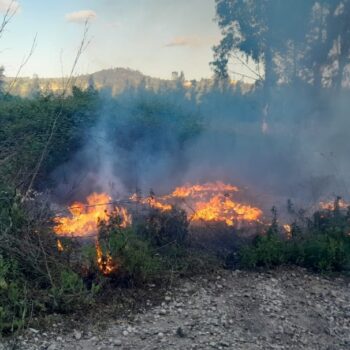 278470153_1129013141212520_1871496466264993933_n