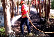 Entroncamento | Incêndio no Bonito rapidamente combatido