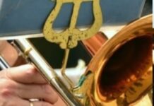 Torres Novas | Executivo aprova apoios de mais de 300 mil euros nas áreas da cultura e desporto