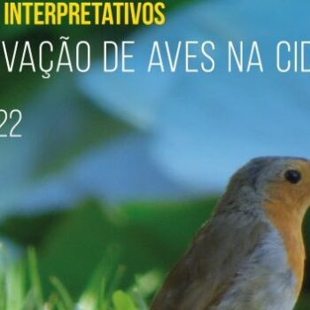 RT1646-Passeios intrepretativos2022-05-08