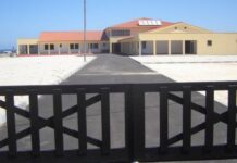 Abrantes | Campo de Férias na Praia do Pedrogão para crianças e jovens oriundas de famílias carenciadas