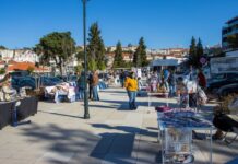 Abrantes | Mercado Municipal recebe flores de papel, Mostra de Livros de Flores e Mostra de Artes e Ofícios em maio