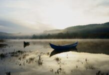 V. N. Barquinha | Já são conhecidos os vencedores do concurso de fotografia promovido pela biblioteca
