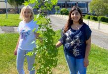 CHMT investe mais de 3,5 milhões para redução do impacto energético e ambiental