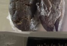 Ferreira do Zêzere | Detido jovem de 25 anos por tráfico de estupefacientes