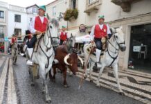 Santarém | Centro Histórico dá as boas-vindas à Feira Nacional de Agricultura com desfile de campinos e cavaleiros