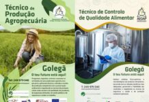 Agrupamento de Escolas de Golegã, Azinhaga e Pombalinho | Oferta de Cursos Profissionais