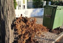 Entroncamento | Sobrantes por recolher há semanas