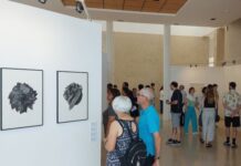 Ferreira do Zêzere | Centro Cultural recebe exposição coletiva “Substrato”