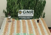 Alcanena | Homem de 50 anos detido por tráfico de estupefaciente