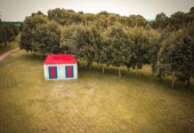 V.N.Barquinha | Aprovada candidatura Barquinha Verde para (Re)arborização de espaços verdes e criação de ilhas-sombra em meio urbano