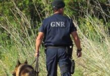 Chamusca | Homem desaparecido localizado com vida