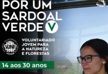 Sardoal | Município promove Programa de Voluntariado para a Floresta
