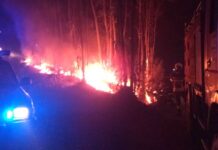 Entroncamento | Bombeiros Voluntários enviaram para as Caldas 6 elementos e 2 veículos