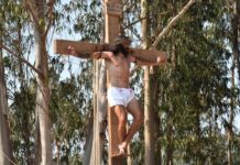 Ferreira do Zêzere | Cirius voltou após pandemia