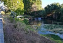 Tomar | Retomados trabalhos de limpeza e desobstrução das margens e leito do rio Nabão