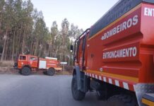 Entroncamento | Incêndio no Parque do Bonito combatido com ajuda de meio aéreo