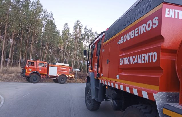 305432509_1647429925695237_857943734372433603_n