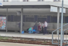 Entroncamento | Passageiro cai na gare da linha nº 5