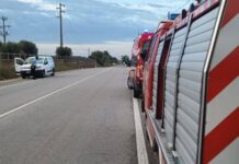 Entroncamento | Despiste de veículo ligeiro na N 365 não provoca feridos