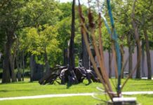 Abrantes | Câmara renova Protocolo com o CRIA para manutenção de espaços verdes