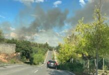 Entroncamento | Incêndio perto do Parque do Bonito combatido com ajuda de meio aéreo