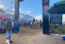 Golegã | Feira do Cavalo 22 | Organização faz balanço positivo