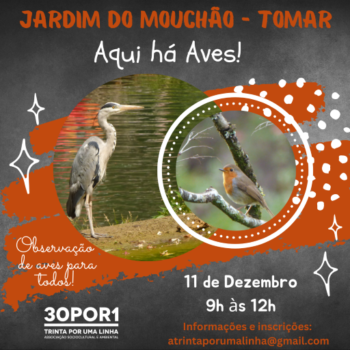 AquiháAves!_TMR’Dez22