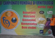 Campeonato Mundial de Ornitologia | João Lopes do Entroncamento integrou delegação nacional