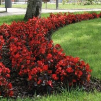 ConcursoFoto_A3Corte