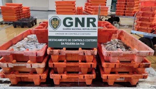 GNR UCC - Apreensão 1