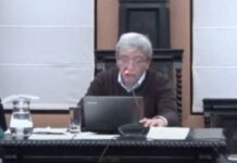 Entroncamento | Assembleia Municipal quer mais árvores na cidade