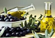 Santarém | Debater no CNEMA o futuro do Olival e do Azeite no Ribatejo