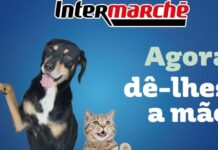 Intermarché apoia associações de proteção animal com campanha solidária Amiga-me