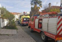 Entroncamento | Colisão entre dois veículos provoca 3 feridos